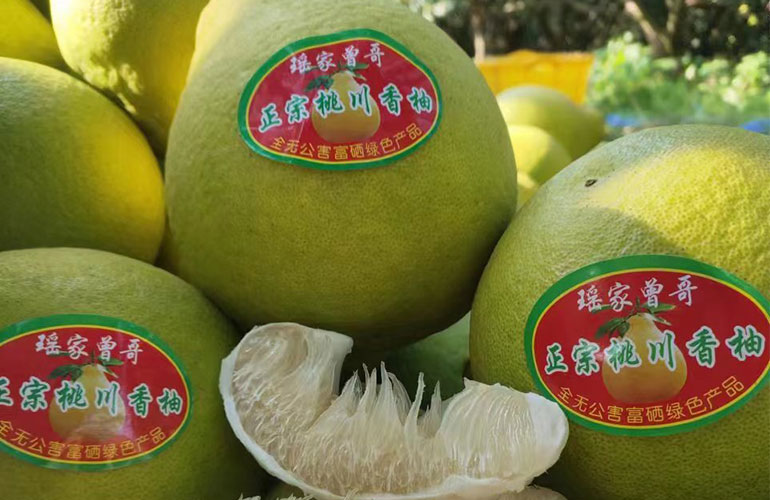 瑶家曾哥